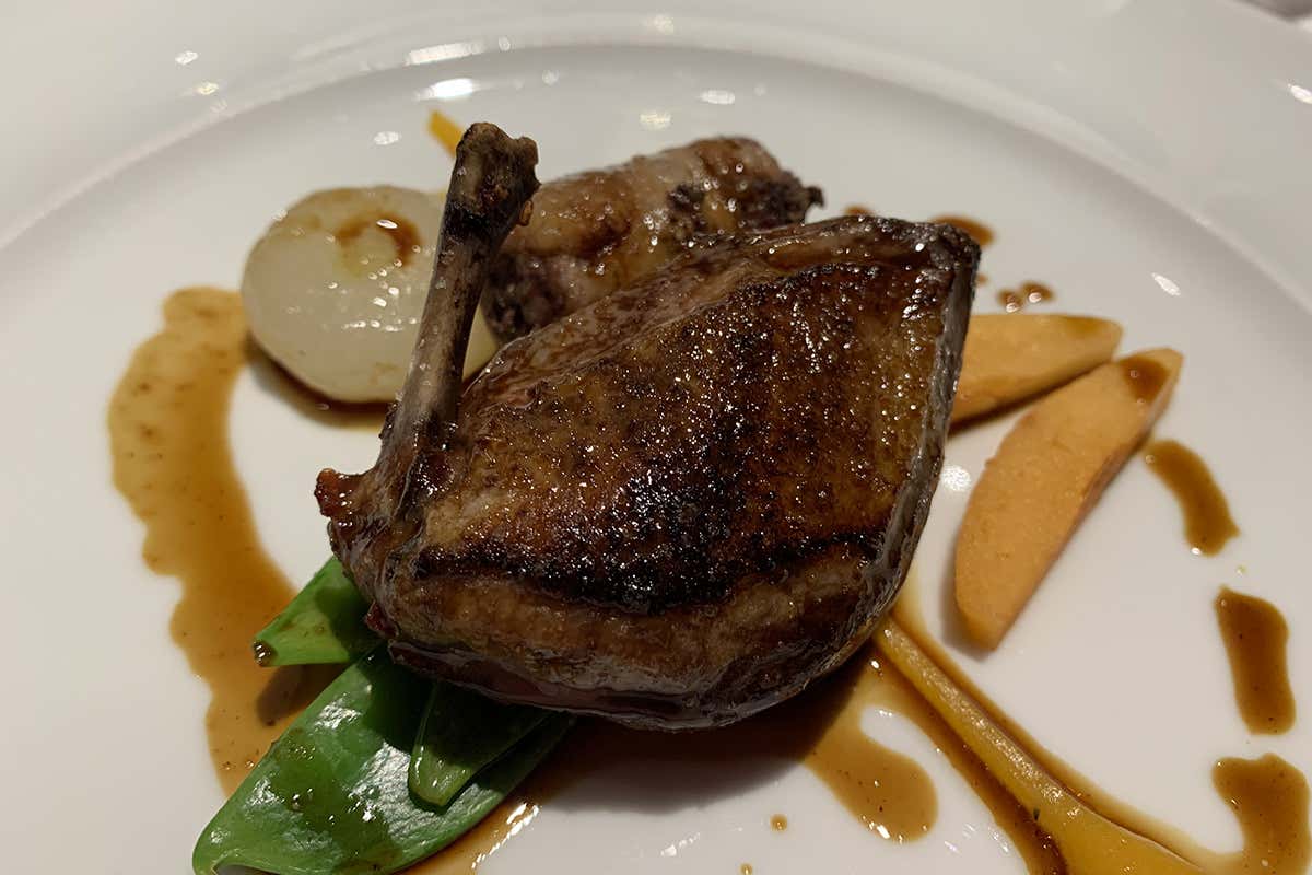 Petto e coscia di piccione Sara Preceruti: la vivacità entra nel piatto