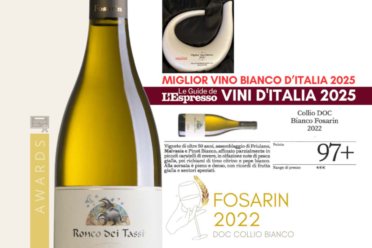 Ronco dei Tassi, il Collio nel bicchiere: storia, premi e filosofia enologica