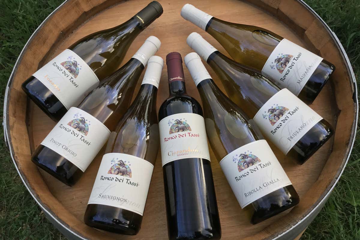 Ronco dei Tassi, il Collio nel bicchiere: storia, premi e filosofia enologica