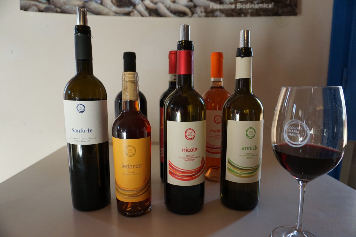I vini di Cosimo Maria Masini Cosimo Maria Masini vini biodinamici con vista su San Miniato