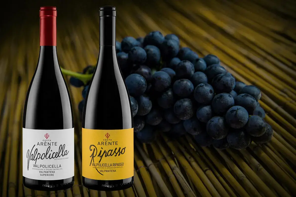 Valpolicella Valpantena Superiore 2019 e Valpolicella Ripasso Valpantena 2018 Gli eleganti rossi della Valpolicella di Costa Arente