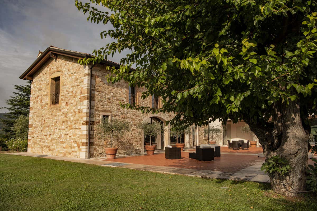 Valpantèna protagonista: storia, vini e ambizioni della cantina Costa Arènte