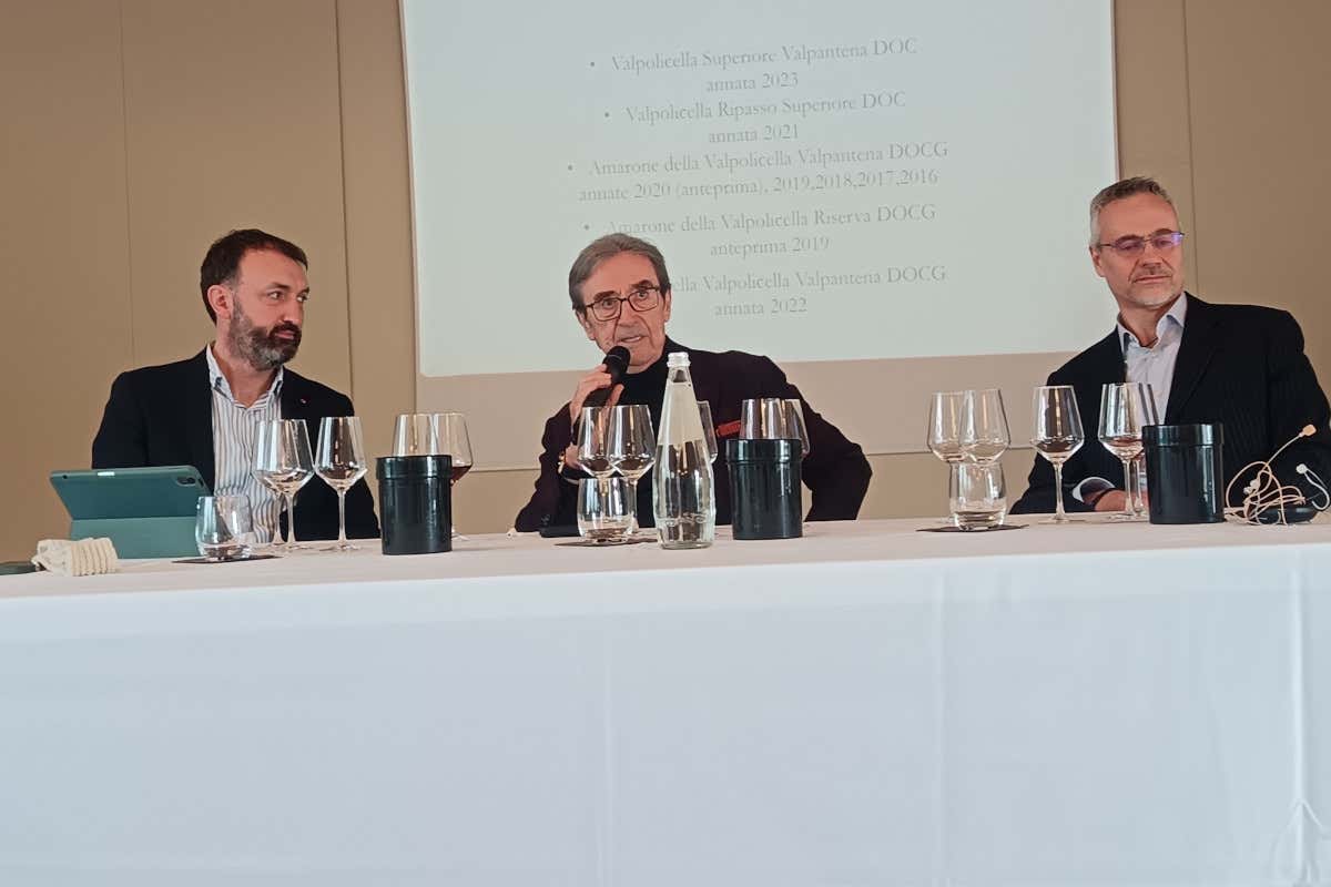 Valpantèna protagonista: storia, vini e ambizioni della cantina Costa Arènte