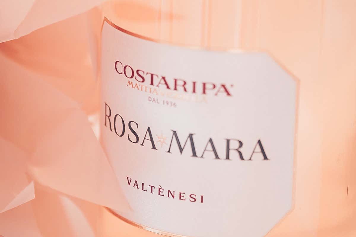 Costaripa sfida i “pregiudizi” sul rosé con il nuovo RosaMara 2024