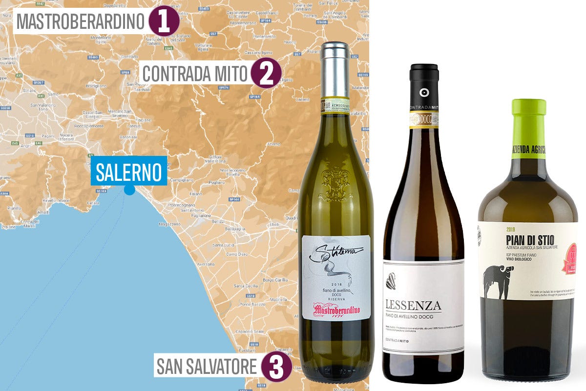 £$L'Italia del vino:$£ in Irpinia alla scoperta del Fiano 