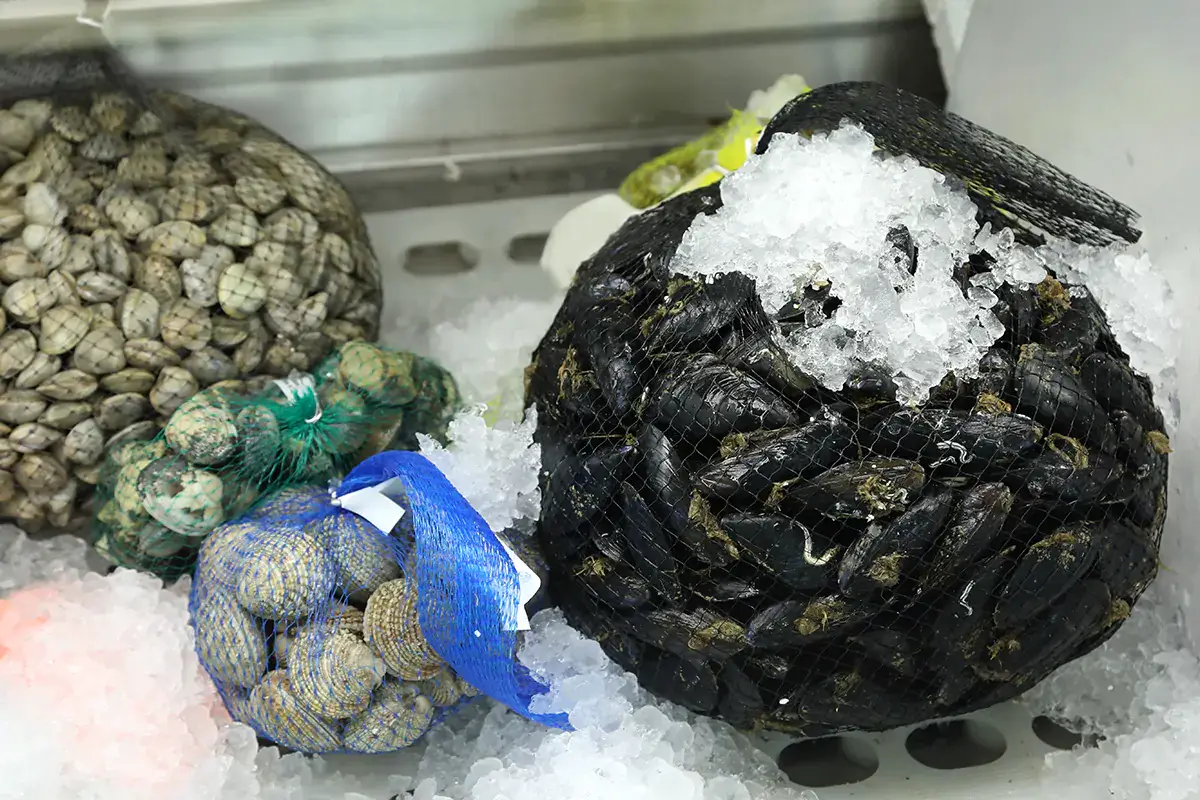 La siccit&agrave; soffoca il Po: vongole in sofferenza, aumentano le zone morte