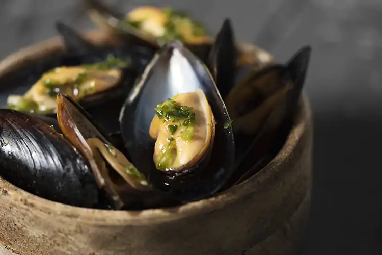 Il business delle cozze diventa green Progetto green per smaltire le cozze: dal guscio arredamento e mangimi