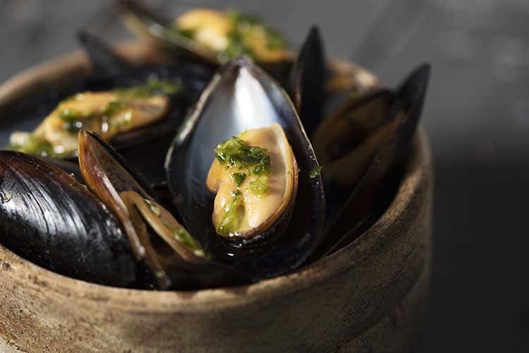 Il business delle cozze diventa green Progetto green per smaltire le cozze: dal guscio arredamento e mangimi Il business delle cozze diventa green Progetto green per smaltire le cozze: dal guscio arredamento e mangimi
