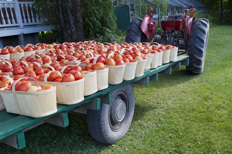 Il fatturato dell'agroalimentare al Sud cresce più che nel resto del Paese (Sud, l’alimentare torna a correre E ora si punta sulle esportazioni)