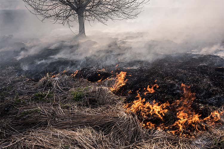 Cresce l’allarme siccità e incendi -30% di piogge negli ultimi 6 mesi Cresce l’allarme siccità e incendi -30% di piogge negli ultimi 6 mesi