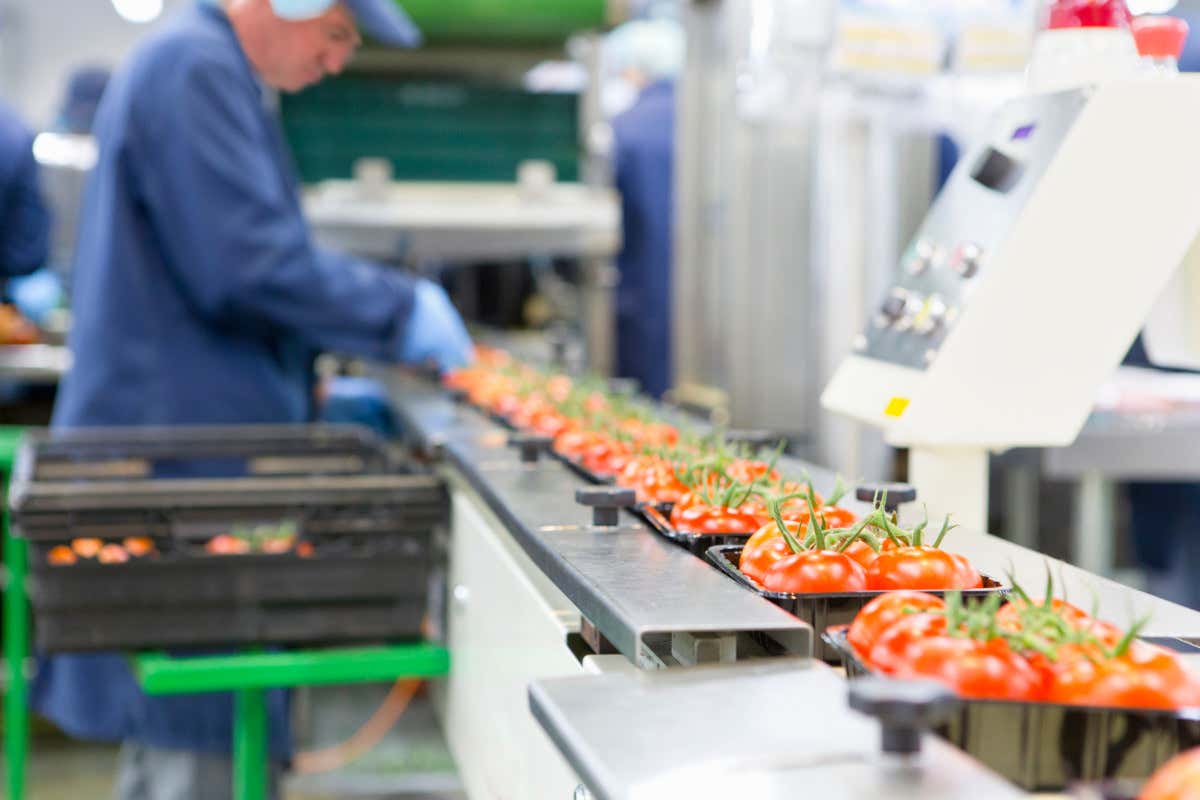 Produzione alimentare crescita del 6% rispetto allo scorso anno