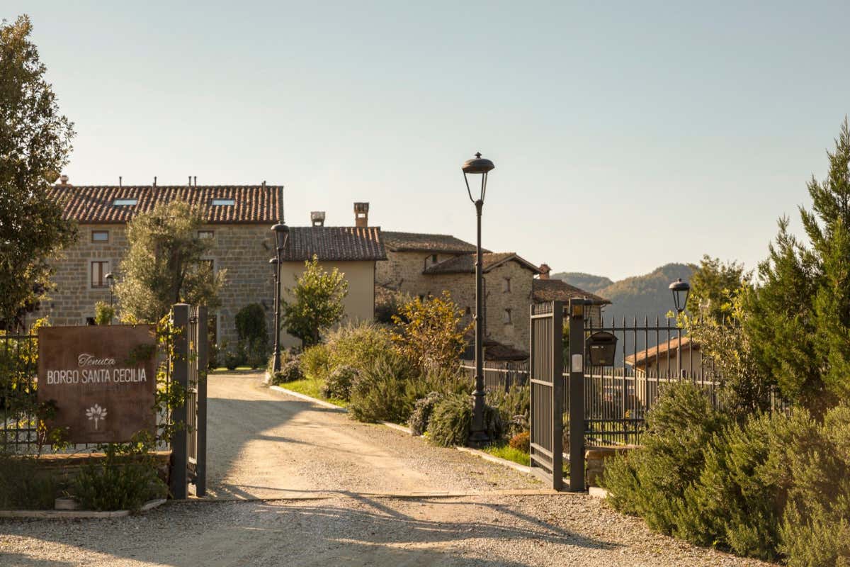 Safari e sapori umbri: un’avventura tra boschi e tavole gourmet