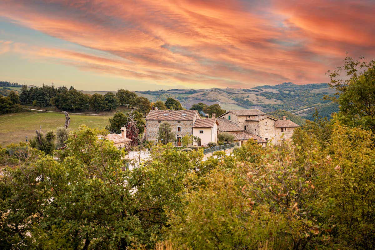 Safari e sapori umbri: un’avventura tra boschi e tavole gourmet