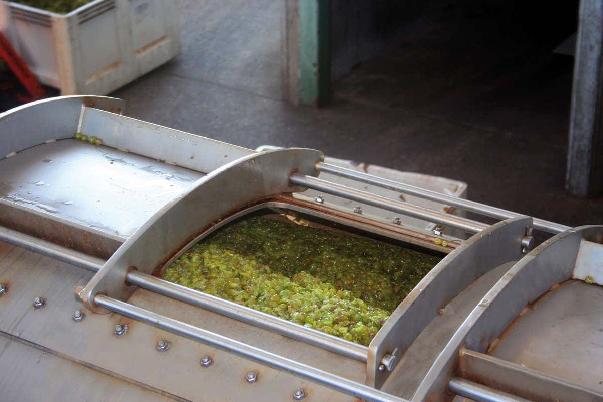 Siad, la tecnologia Kryos per la vinificazione del rosato (e non solo)