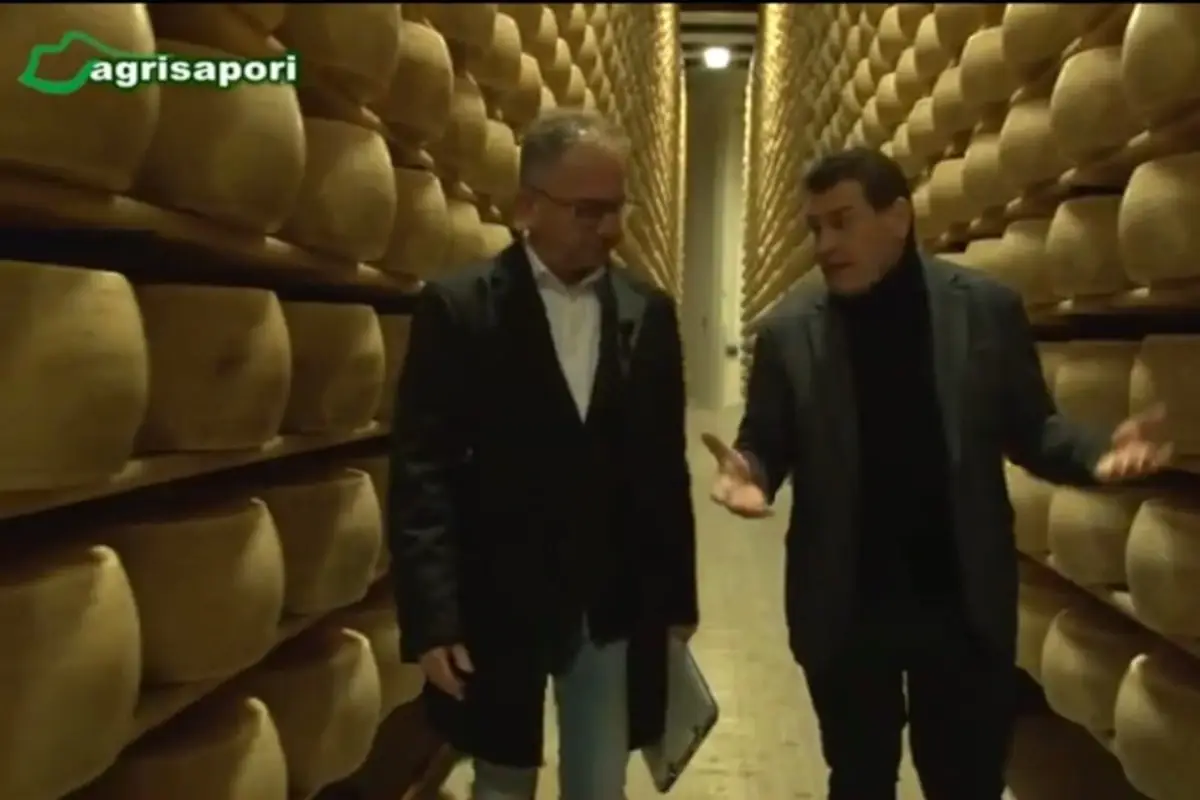 Sua Maestà il tartufo, il format TV di Giuseppe Cristini: in onda oggi la puntata di gennaio