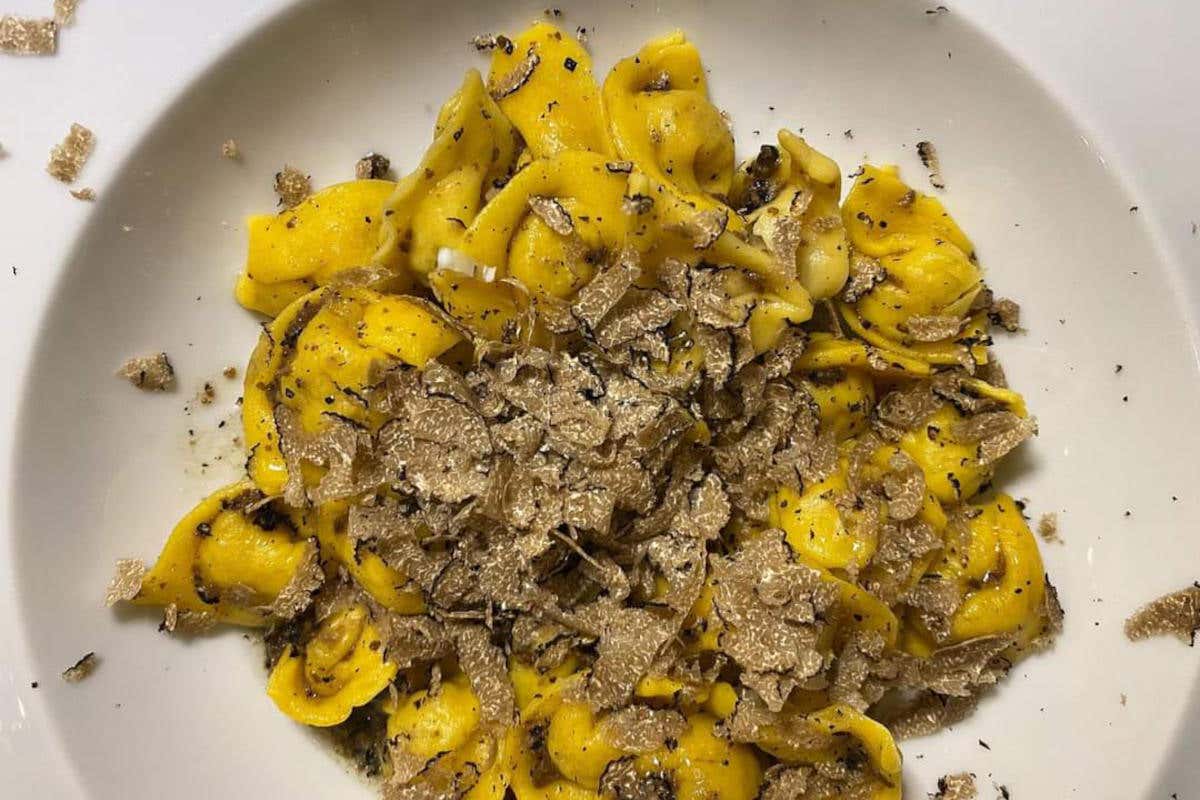 Quest&rsquo;autunno, torniamo a viaggiare tra le pi&ugrave; belle fiere e mostre del tartufo