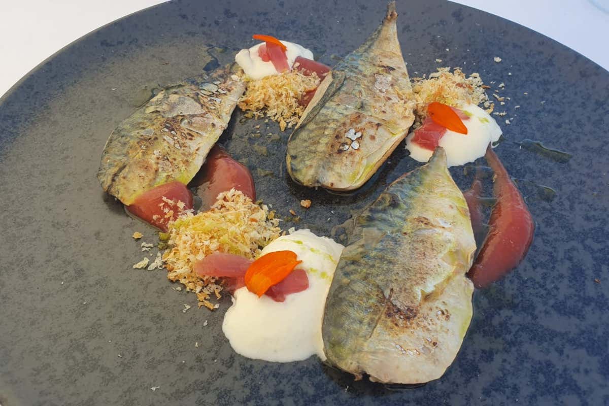 Gibas Ristorante sulla panoramica di Pesaro: tutti i segreti tra cucina e cantina