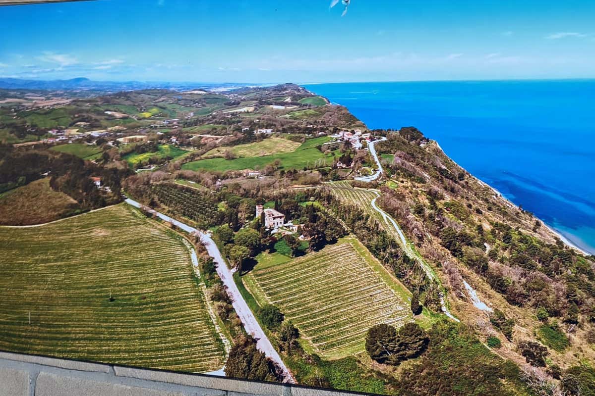 Un sabato in cantina con Roberto Lucarelli a degustare vino, olio e tartufo Un sabato in cantina con Roberto Lucarelli a degustare vino, olio e tartufo