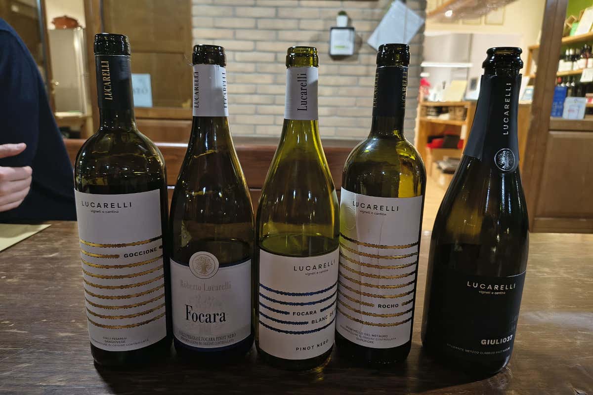 Un sabato in cantina con Roberto Lucarelli a degustare vino, olio e tartufo Un sabato in cantina con Roberto Lucarelli a degustare vino, olio e tartufo