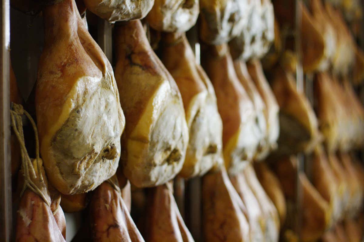 Tramonto DiVino 2024: il meglio dell’Emilia-Romagna del gusto in 7 tappe