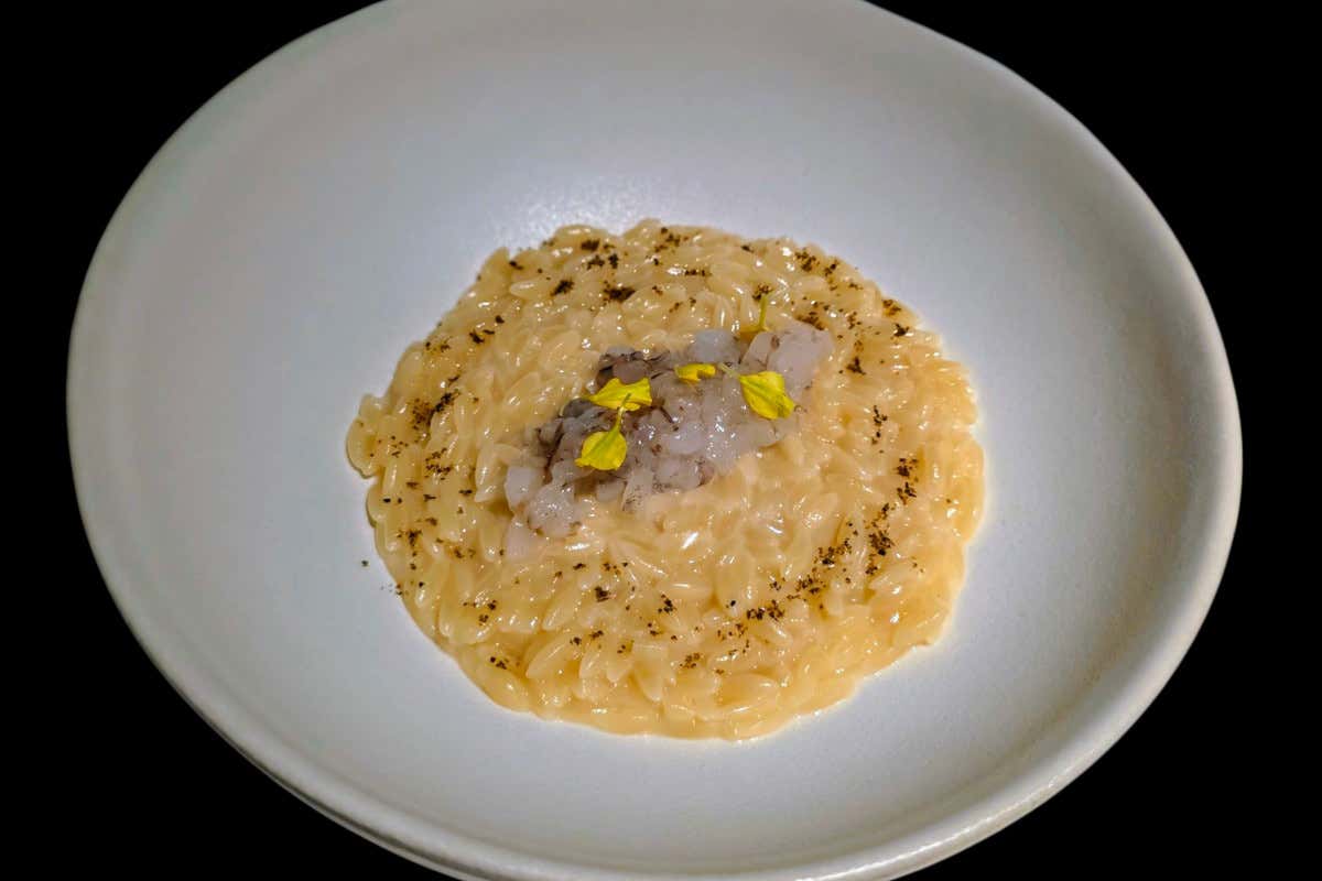 A Rho la cucina della ricerca: risotti al polline, fermentazioni e 330 etichette in cantina