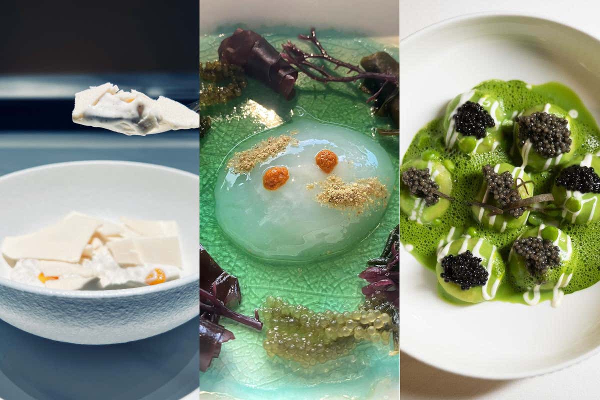 Sensorium, Bocchia, Giacomello: quando la scienza commuove a tavola