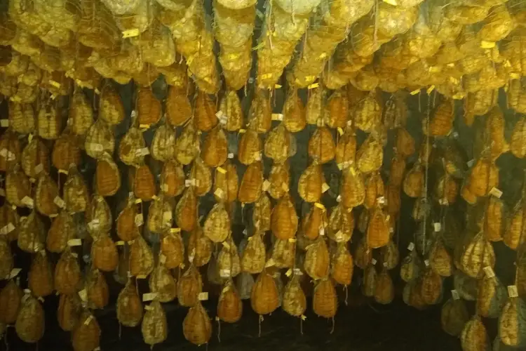 La Notte dei Culatelli, esperienza da vivere e gustare sulle rive del Grande Fiume