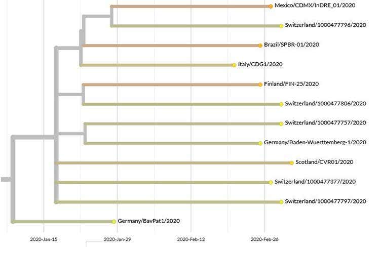 La mappatura del virus - Che la culla del coronavirus in Ue sia in realtà la Germania?