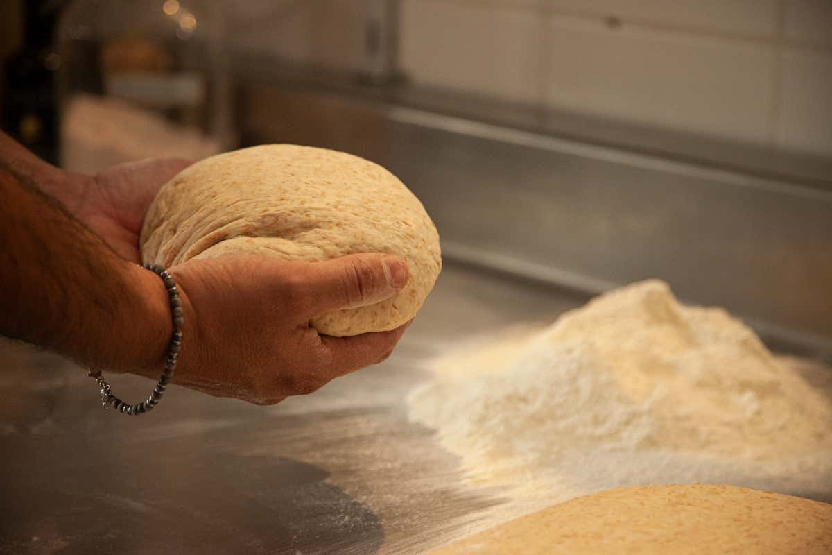 La lezione della Spagna sul pane che l’Italia non può più ignorare La lezione della Spagna sul pane che l’Italia non può più ignorare