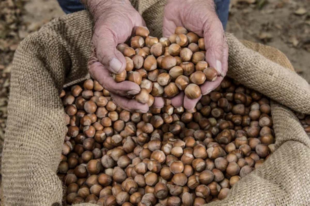 Perché Avella, in Campania, è il luogo ideale per riscoprire il turismo lento