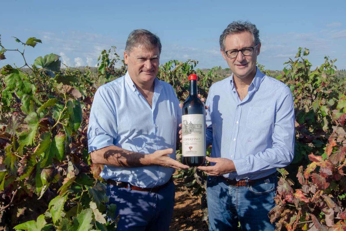 Cupertinum: il Negroamaro di Copertino