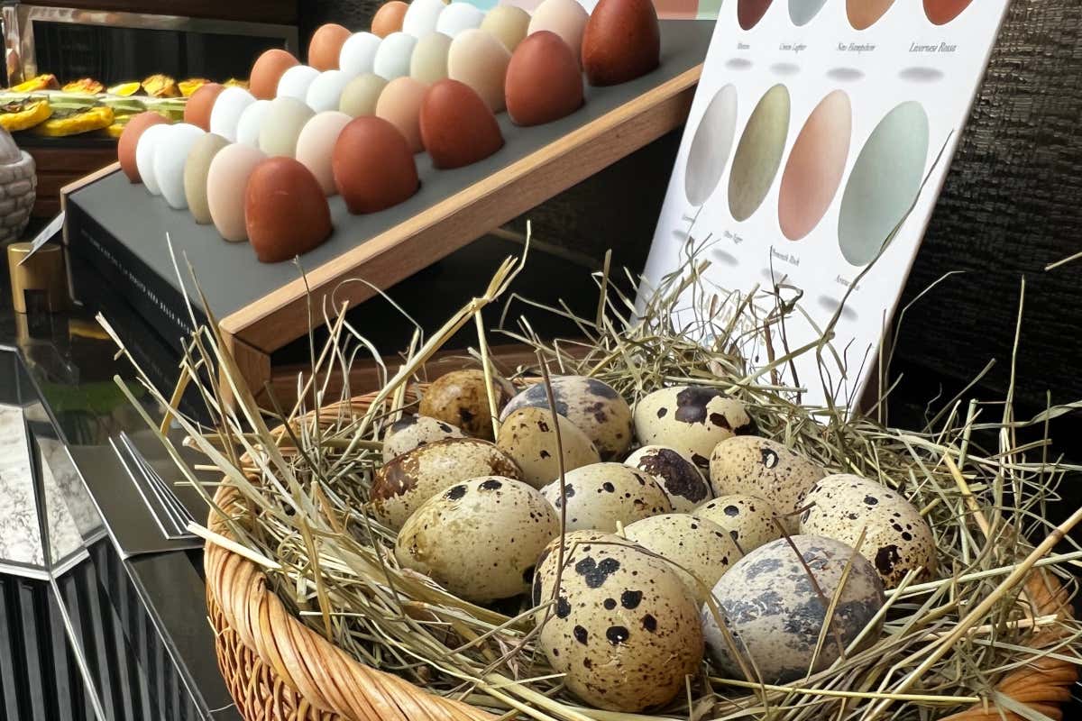 Il brunch estivo più raffinato di Milano? È a La Cupola, ed è EGGSquisite Il brunch estivo più raffinato di Milano? È a La Cupola, ed è EGGSquisite