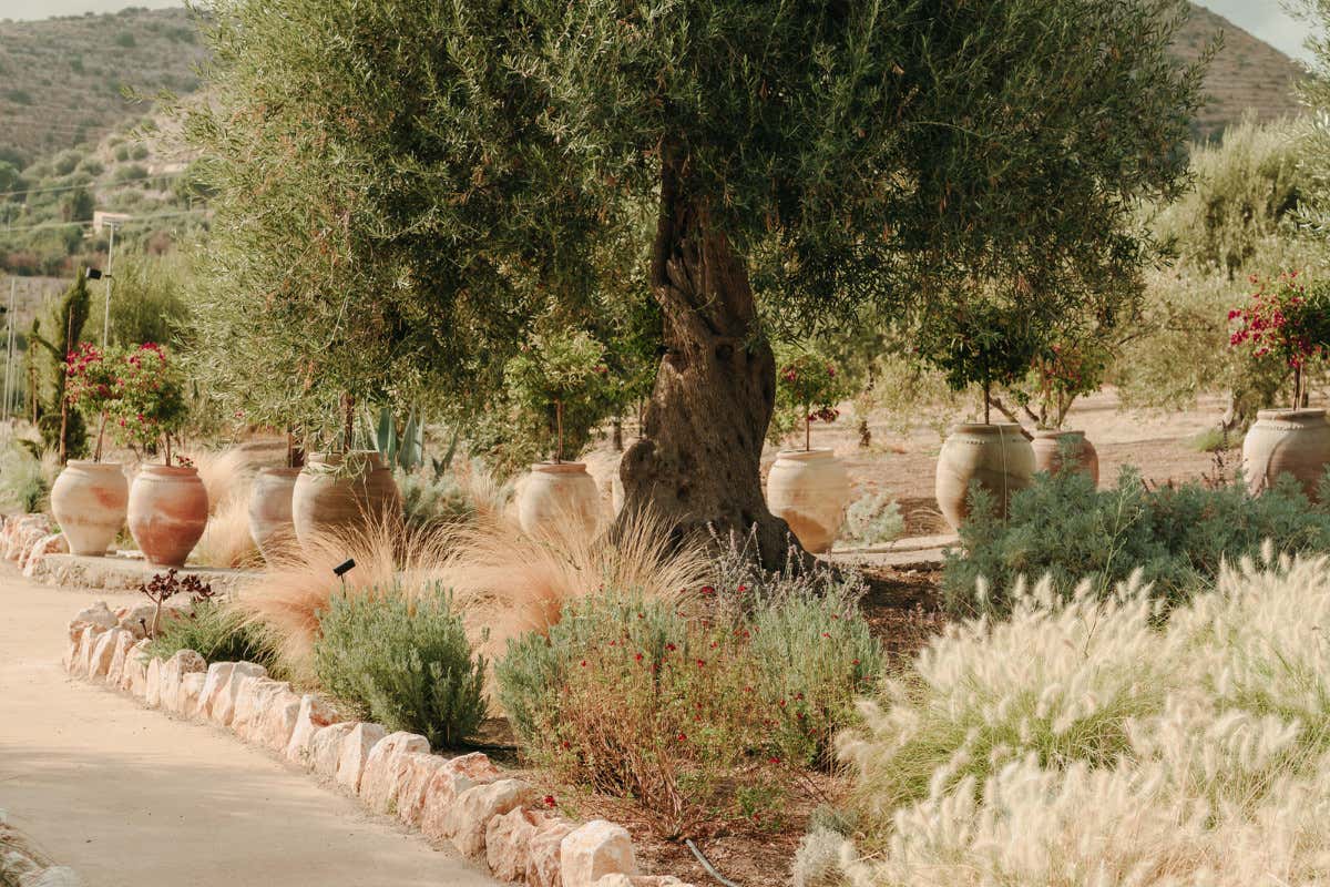 Braccialieri: il nuovo boutique resort tra design e natura nella Val di Noto