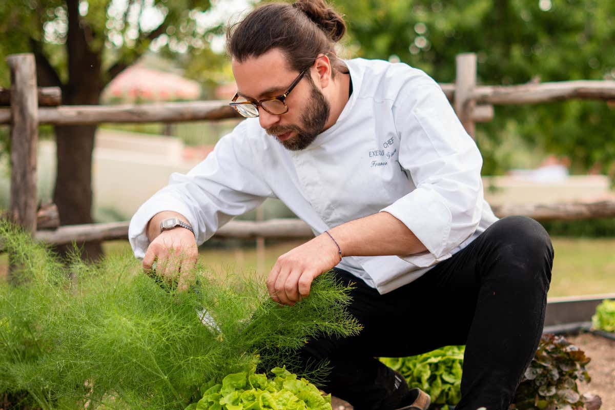 Dodici Zappe: la nuova tavola del gusto nel cuore del Val di Noto Dodici Zappe: la nuova tavola del gusto nel cuore del Val di Noto