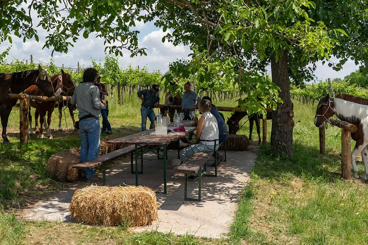 Paradiso per gli enoturisti Viaggio nelle terre del Custoza alla scoperta di vino unico