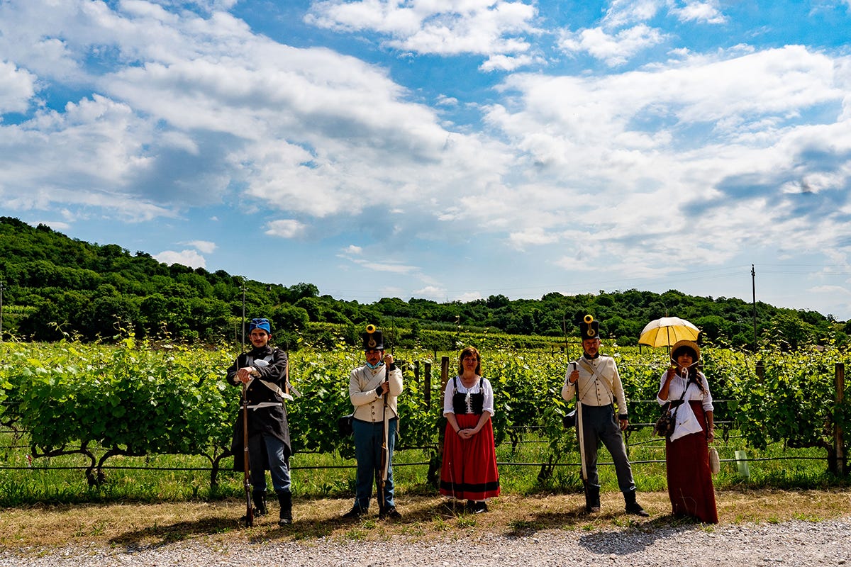Un territorio ricco di storia e tradizioni Viaggio nelle terre del Custoza alla scoperta di vino unico