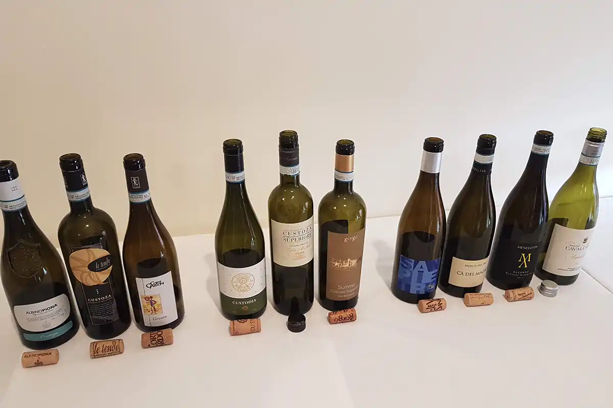 Le bottiglie di Custoza degustate per i 50 anni del Consorzio I 50 anni del Custoza Doc, bianco che ora deve solo farsi conoscere