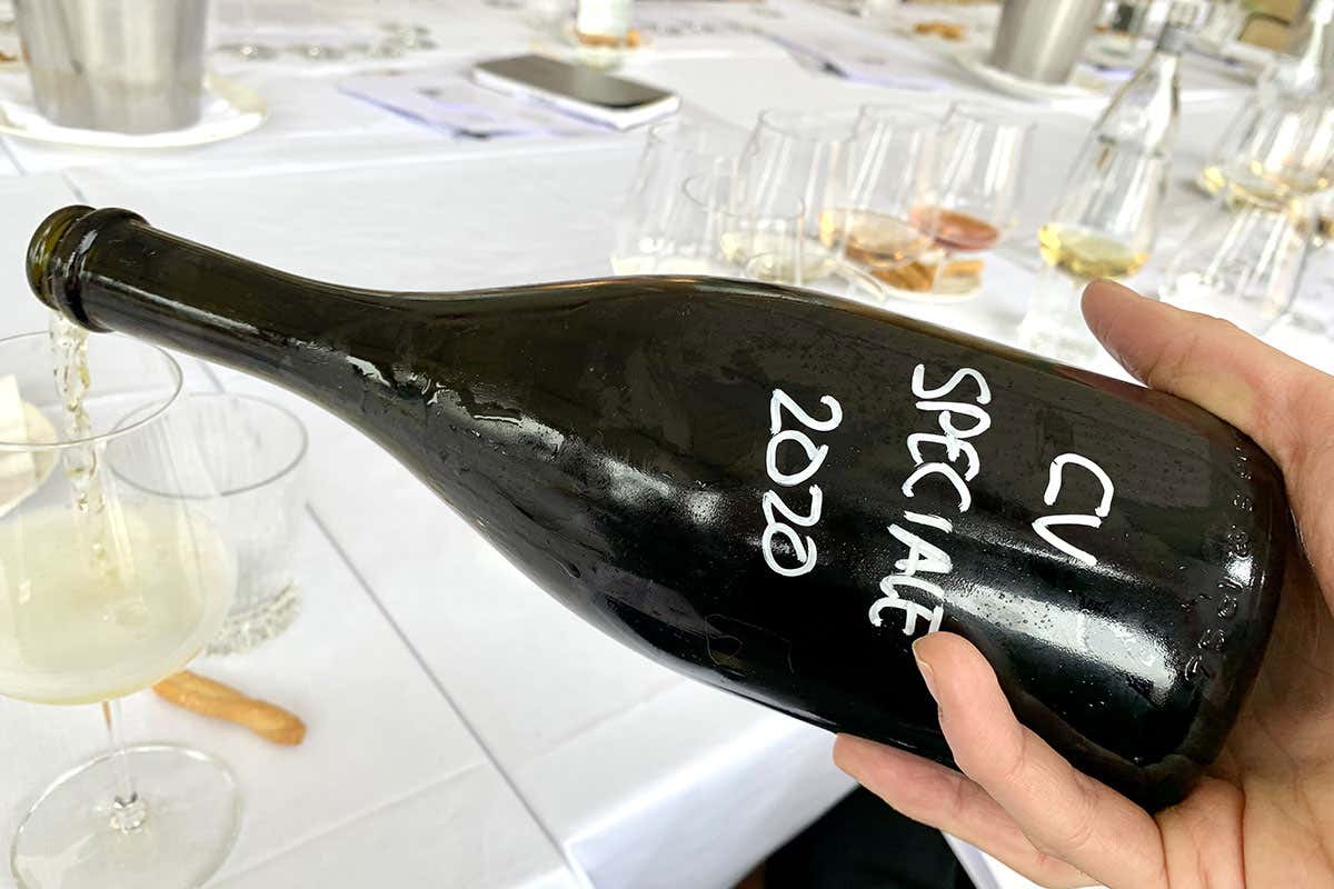 Castello di Cigognola: il nuovo corso Castello di Cigognola Metodo Classico cambio di passo in cantina