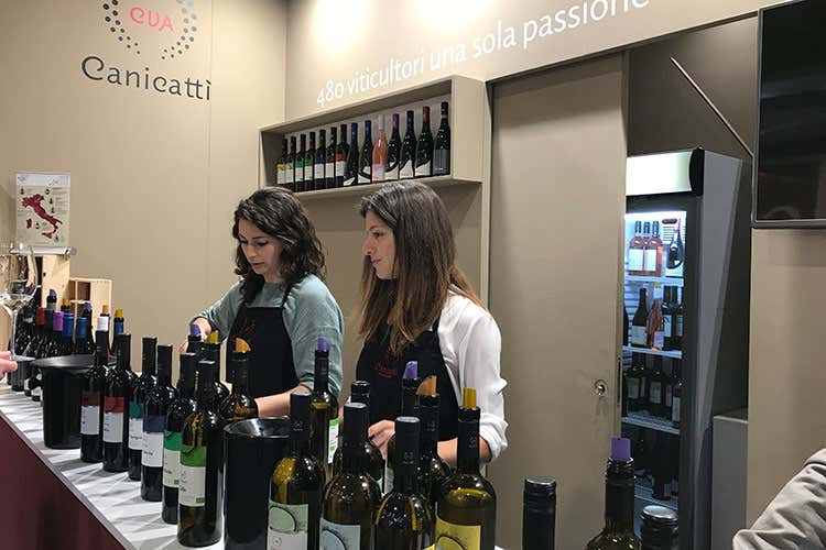 (Cva Canicatt&igrave;, 350 cantine in Sicilia Il territorio incontra le tecnologie odierne)