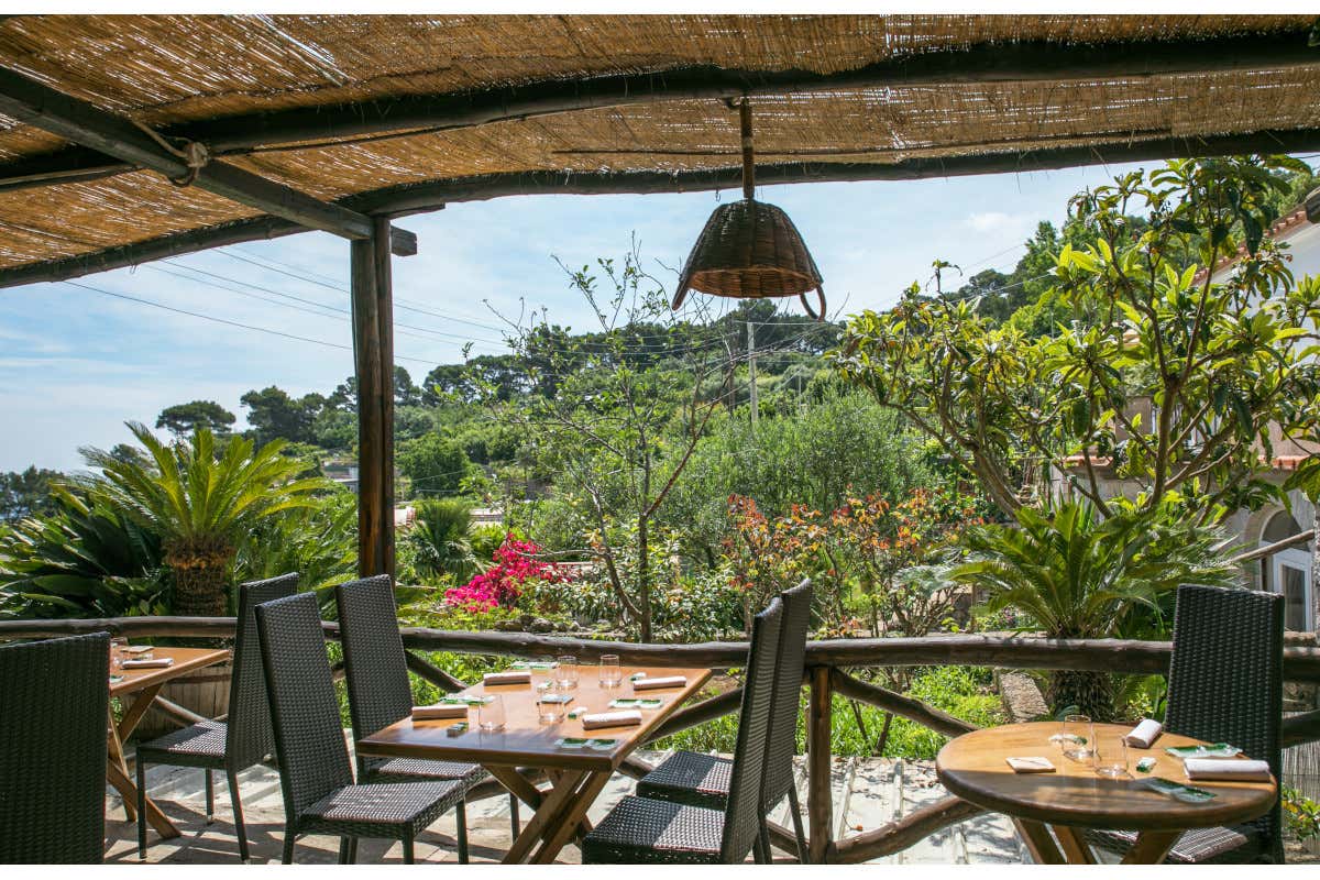 Ristorante Da Tonino Les Collectionneurs, 14 nuovi hotel e ristoranti in Italia