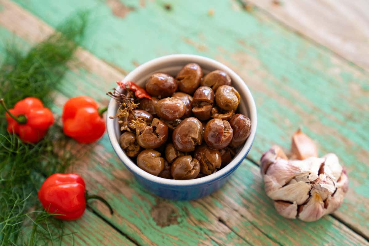 L’olio che racconta la Sardegna: itinerari e comunità tra Sud e Oristanese