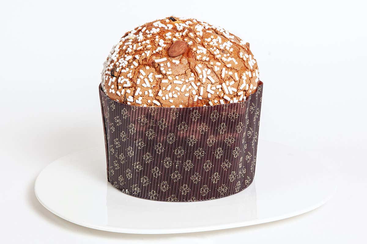 Panettone di Massari (credito foto: Carlo Fico) Iginio Massari in Abruzzo per una masterclass sui grandi lievitati