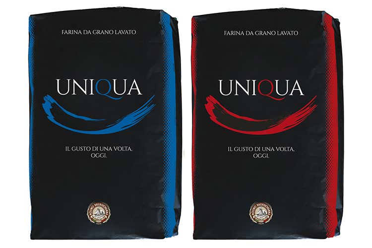 (Panettone a regola d&rsquo;arte con le farine speciali Dallagiovanna)