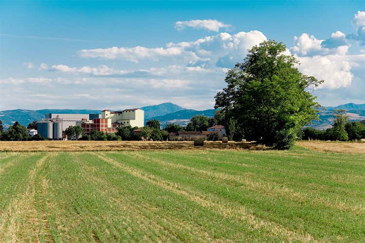 Un Molino da numeri Uno Dallagiovanna, farine d’eccellenza Un Molino da numeri Uno Dallagiovanna, farine d’eccellenza