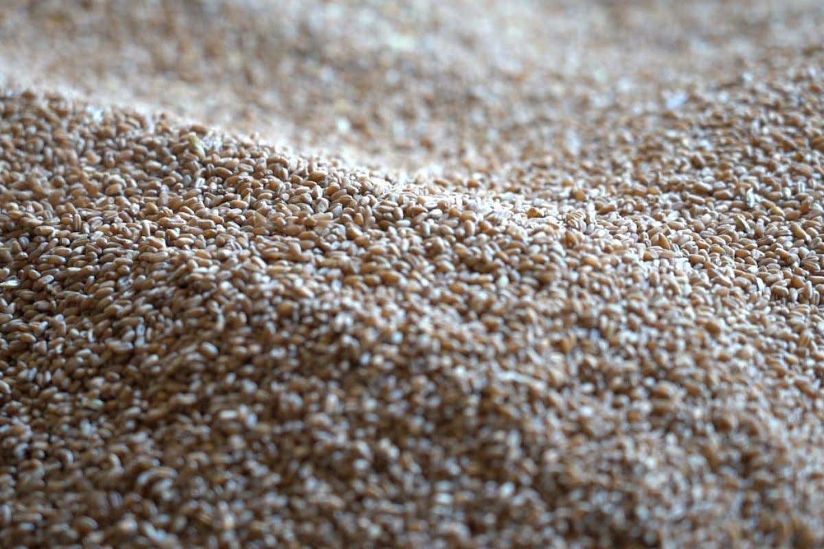 Al Molino Dallagiovanna al via la 1ª edizione de La Festa dei Granai