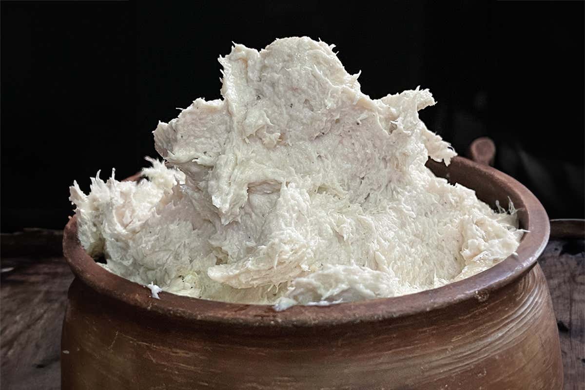 Dalla nonna Ada alla Norvegia: il viaggio dello stoccafisso secondo Daniel Canzian