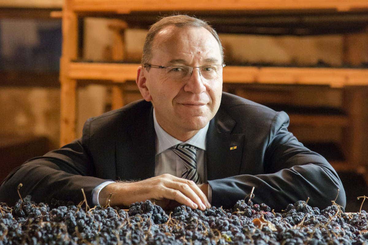 Daniele Accordini Millesimo 2021, annata perfetta per l'Amarone della Valpolicella Daniele Accordini Millesimo 2021, annata perfetta per l'Amarone della Valpolicella