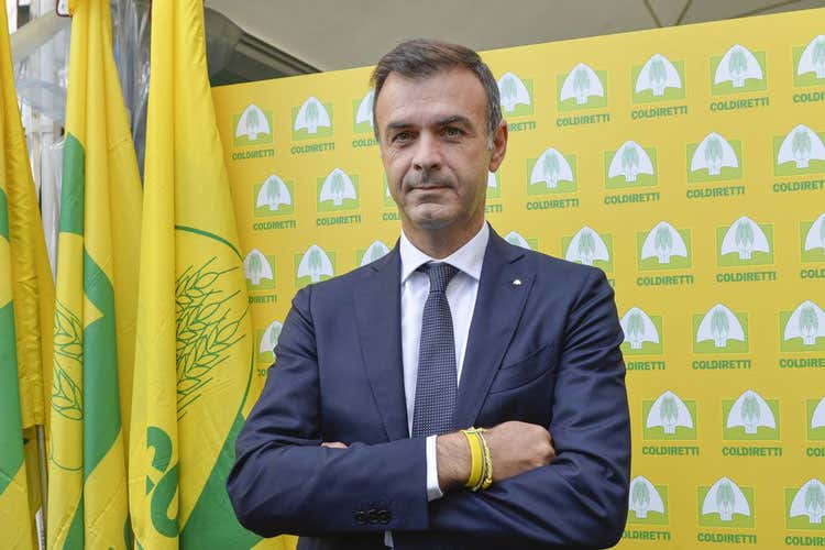 Ettore Prandini(Danni alle aziende olivicole In piazza la rabbia degli agricoltori)