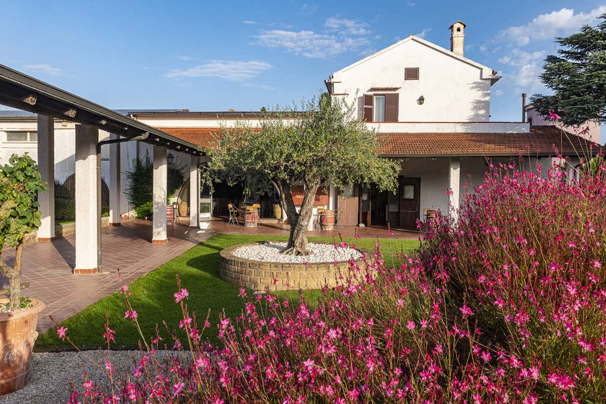 La Locanda del Falerno, wine resort con camere e appartamenti, tra cui la vip suite Torre Falerno