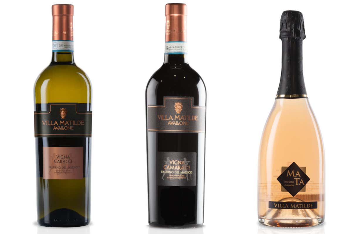 Tre etichette di Villa Matilde Avallone: Falerno del Massico Bianco Vigna Caracci 2021, Falerno del Massico Rosso Vigna Camarato Riserva 2015, Mata Metodo Classico Brut Rosè.
